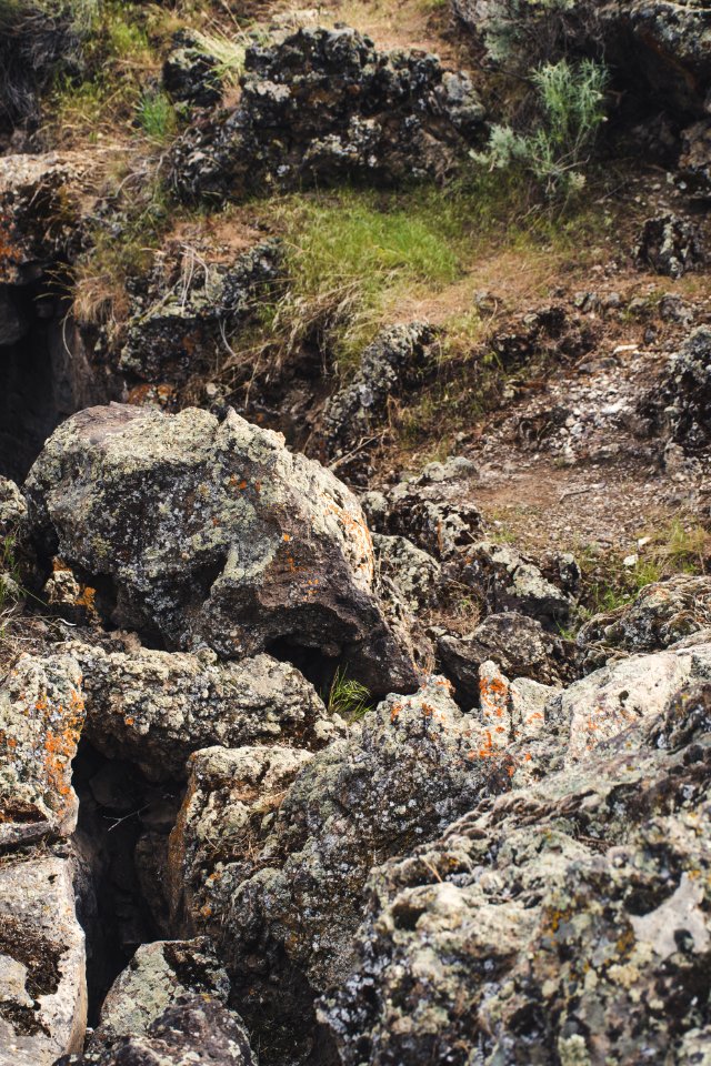 Gray Rocks