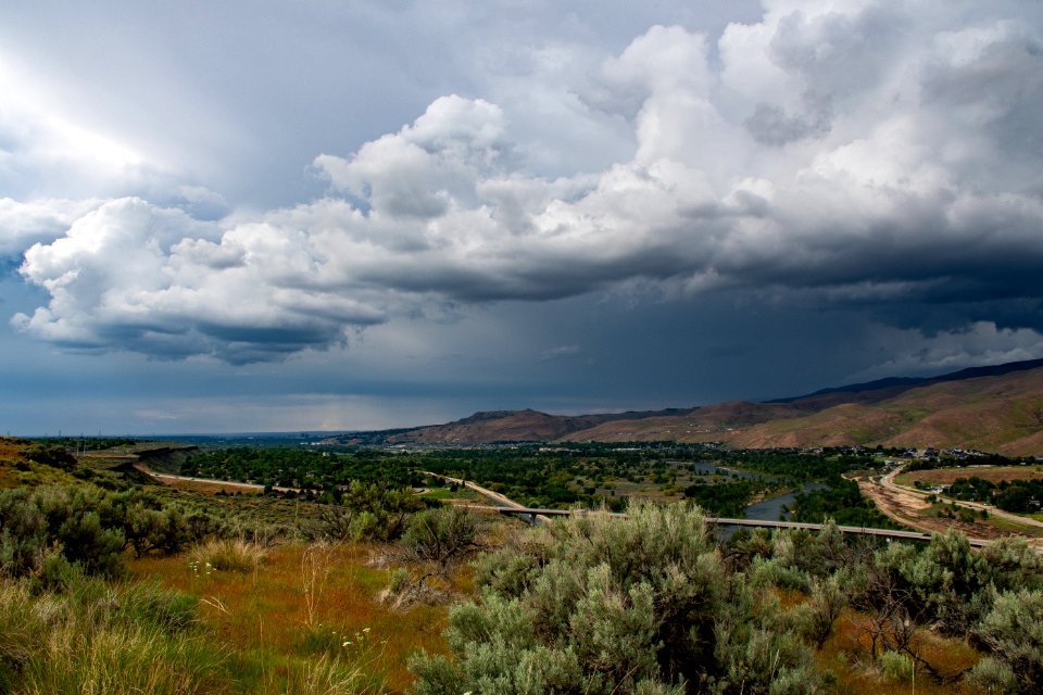 Green Foliage Treed Near Mountain Range With Cloudy Skies