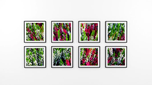 Eight Photo Frame Of Flowers photo