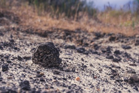 Close Up Photography Of Small Black Stone photo