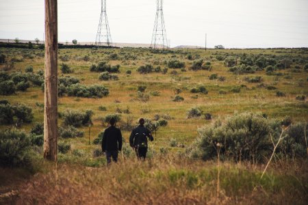 Two Men Walking On Grassy Field