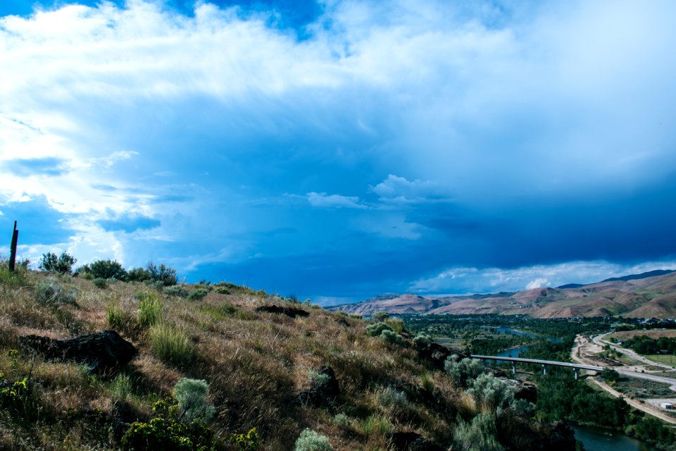 Photography Of Grass