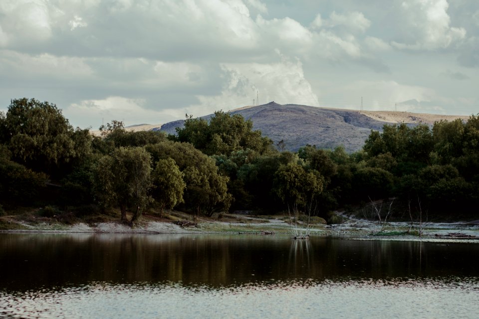 Body Of Water Near Green Trees