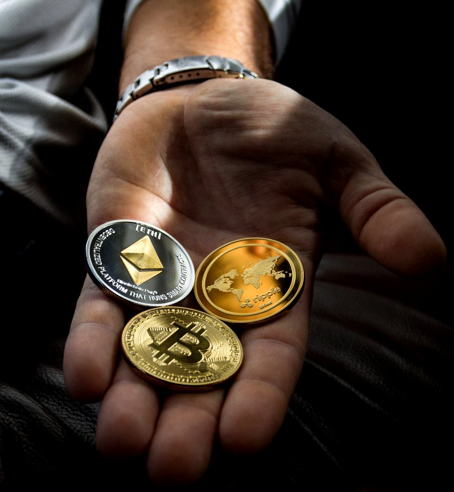 Closeup Photo Of Three Round Coins In Persons Palm