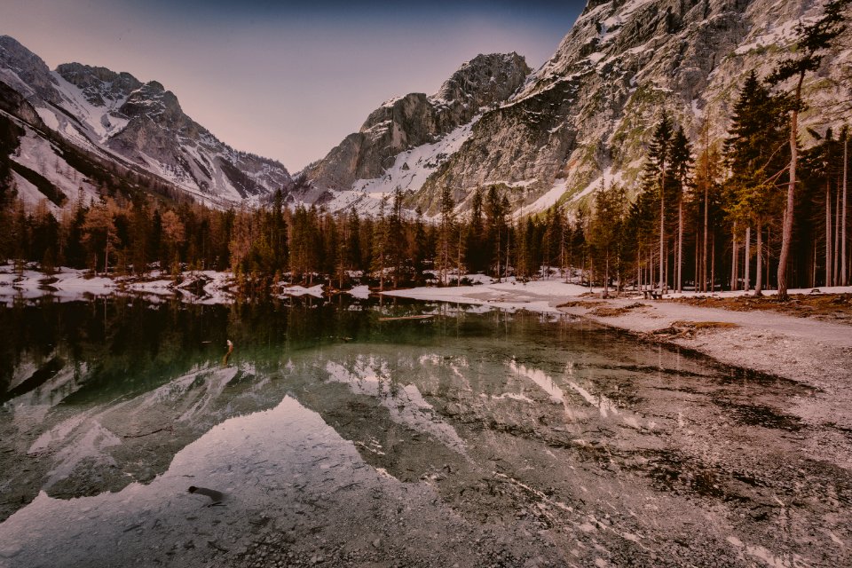 Landscape Photo Of Body Of Water Near Tall Trees