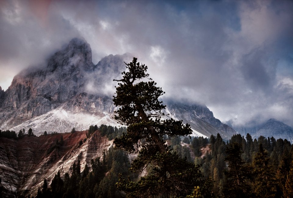 Birds Eye View Photography Of Trees And Mountain