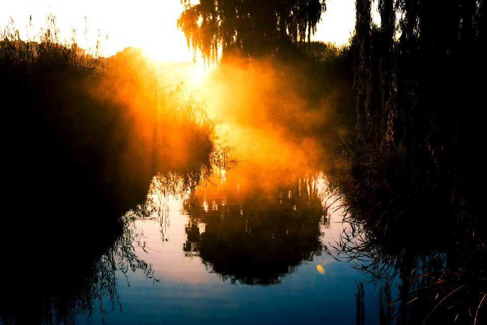 Silhouette Photography Of Trees Near Water