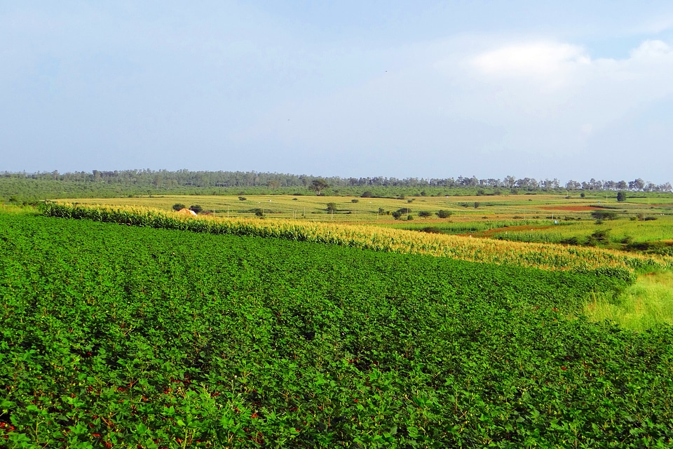 Valley landscape nature