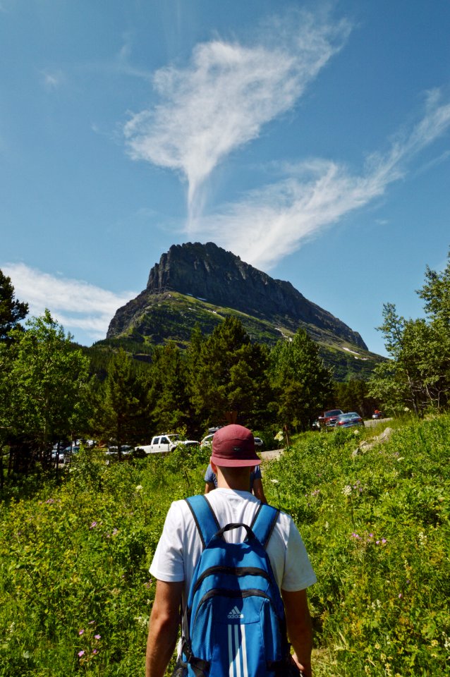 Man Wearing Blue Backpack Walking Between Plants