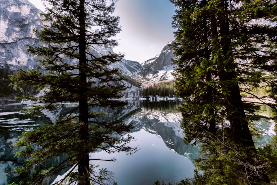 Green Tree Near Body Of Water And Mountain Under White Skies