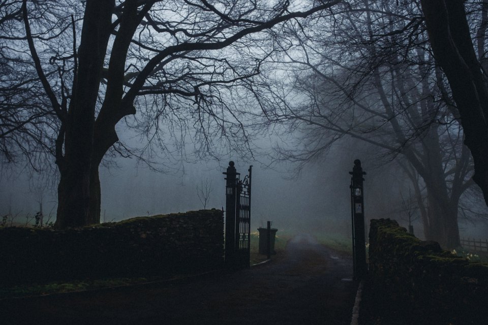 Black Concrete Road Near Forest