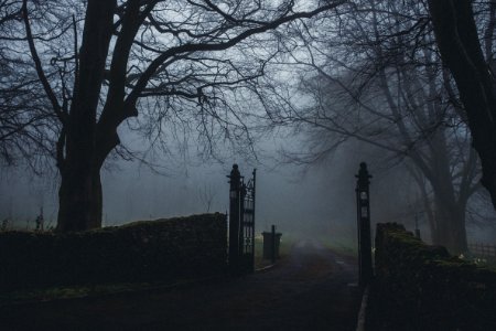 Black Concrete Road Near Forest