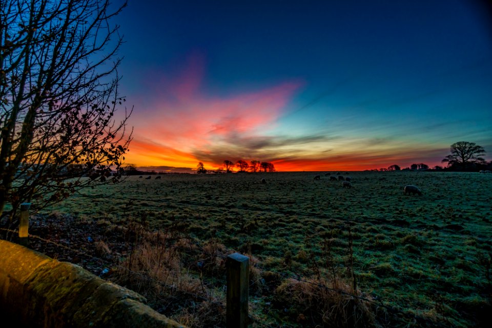 Photography Of Sunset Over Green Grass Field