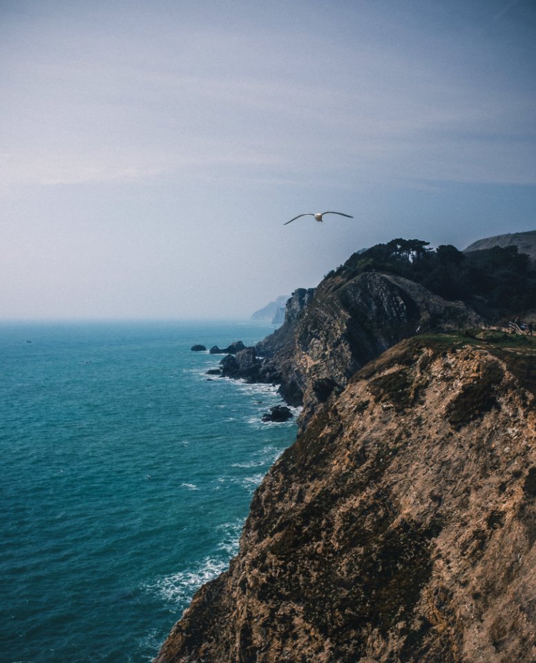 Aerial Photography Of Beach Shore photo