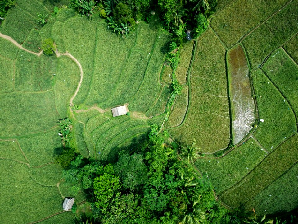 Aerial Photography Of Green Field