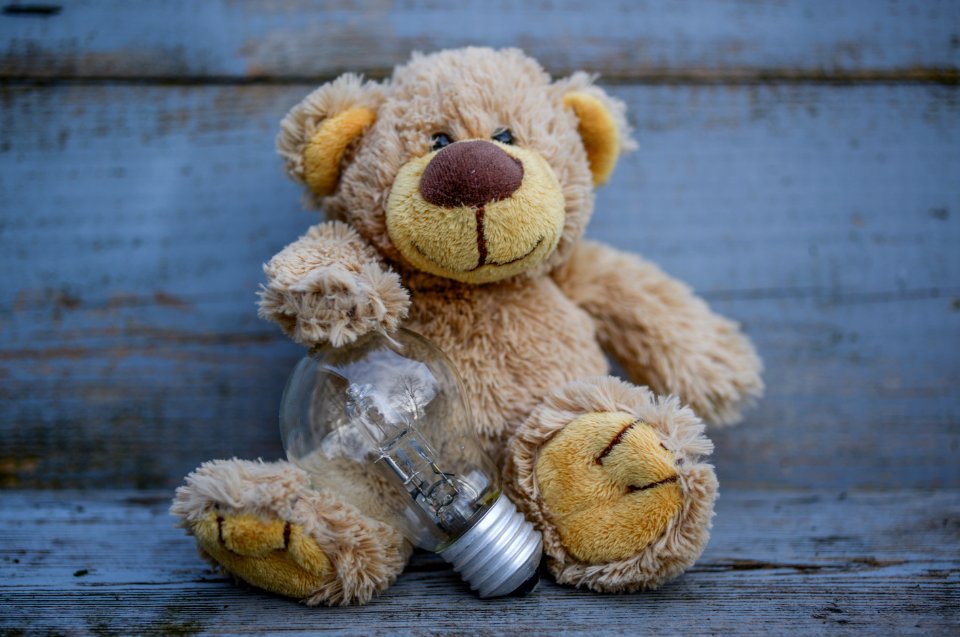 Close-Up Photography Of Teddy Bear Near Light Bulb photo