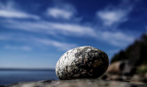 Macro Photo Of A Rock