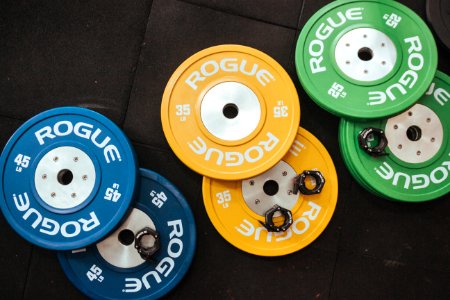 Several Rogue Gym Plates photo