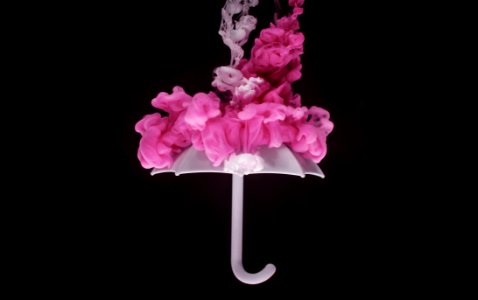 Photo Of Pink And White Floral Embellished Umbrella photo