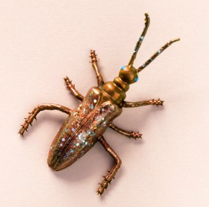 Gold-colored Longhorn Beetle