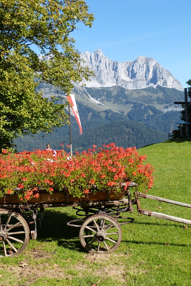 Wilderkaiser romantic ornament