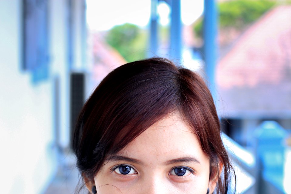 Womens Black And Brown Hair
