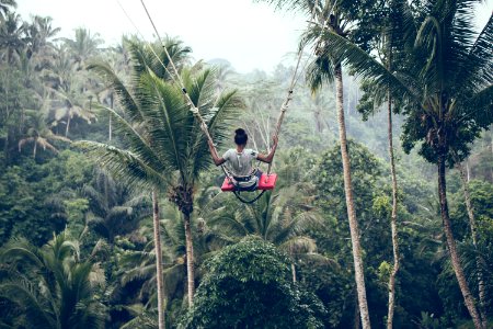 Person Riding On Zip Line