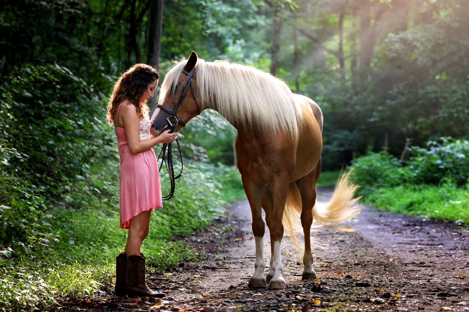 Woman Wearing Pink Dress Standing Next To Brown Horse