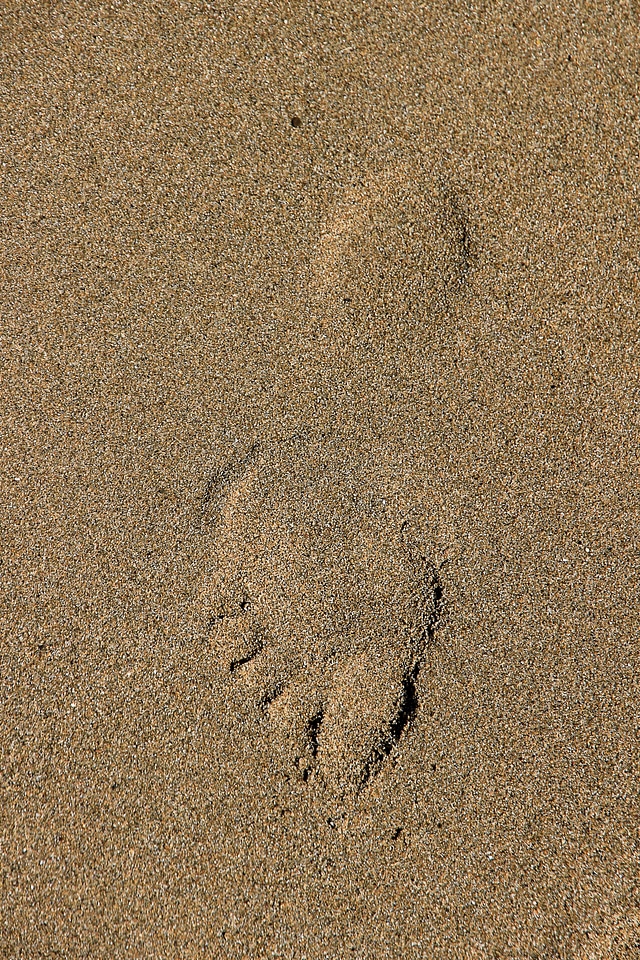 Ten heel foot