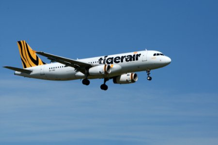 Tigerair Airplane Taken photo