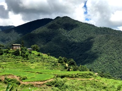 Brown And Black Wooden House Surrounded Of Trees Near Mountain Under White Sky photo