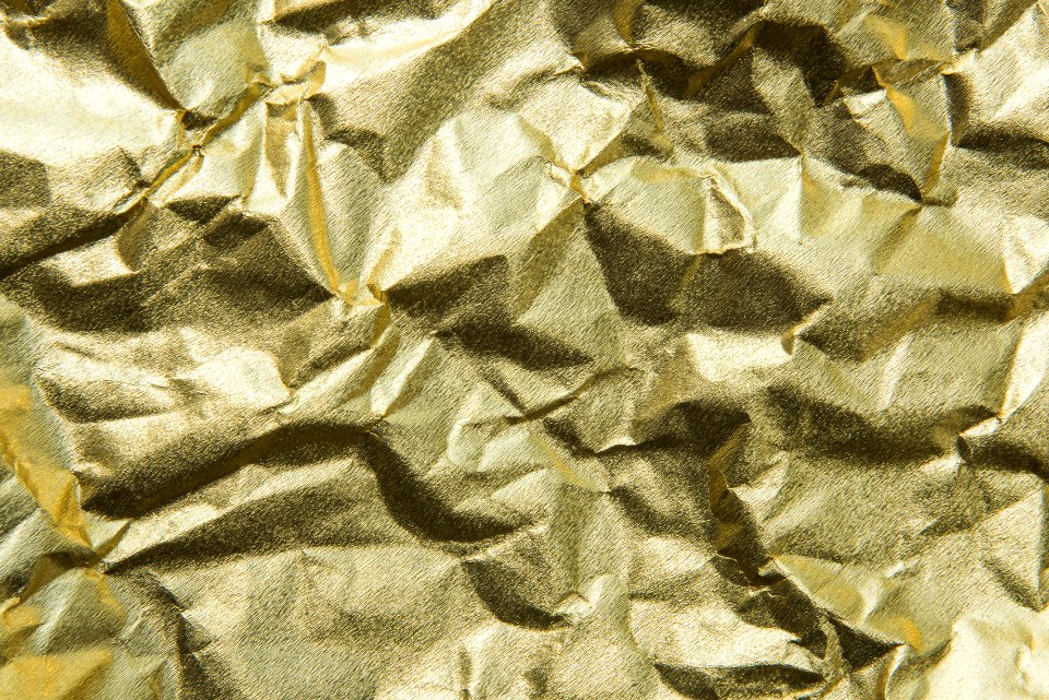 Texture Pattern Organism Material