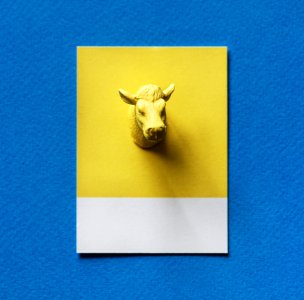 Abstract Animal Background photo