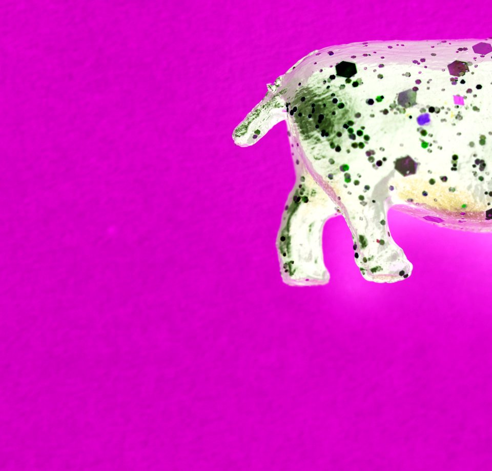 Aerial Animal Background