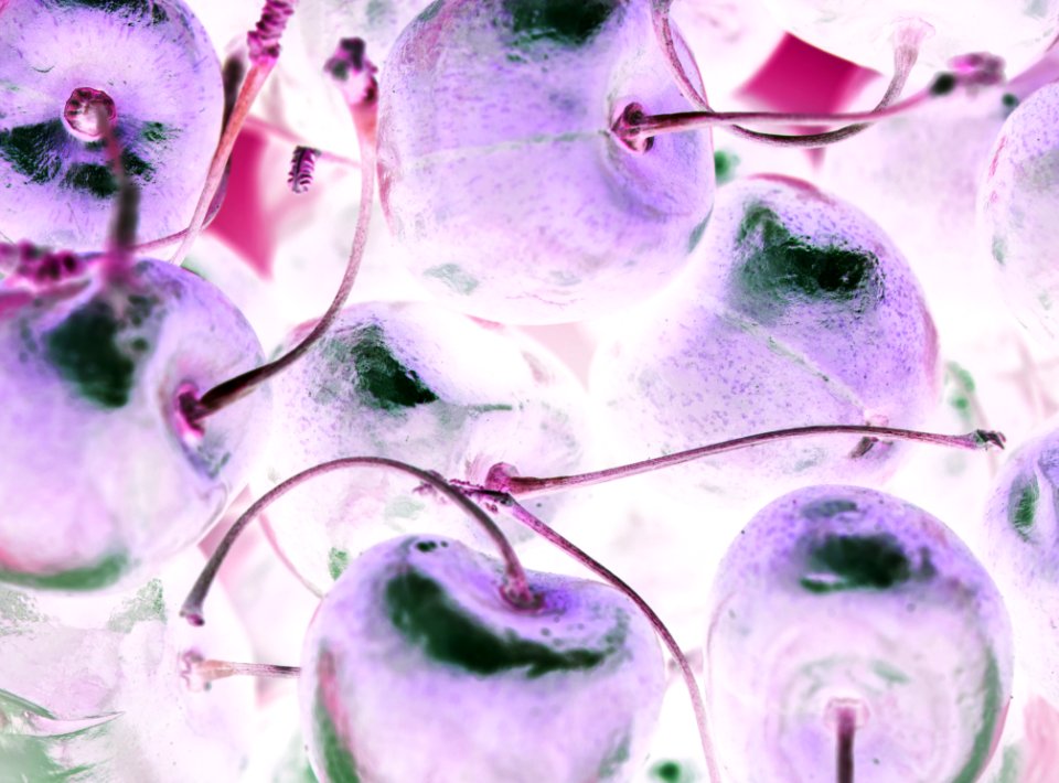 Background Berry Cc0