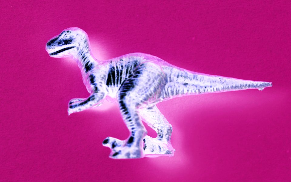 Aerial Ancient Animal