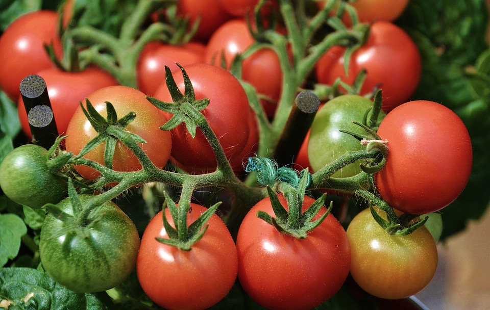 Delicious market stand