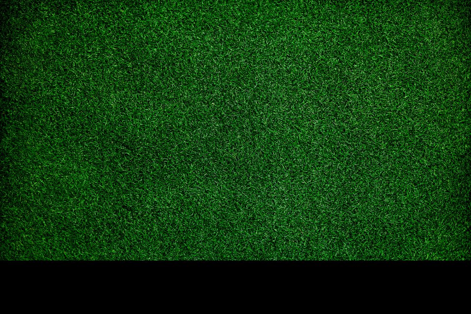 Texture Dark Green Grass Surface Closeup Wallpaper Concept