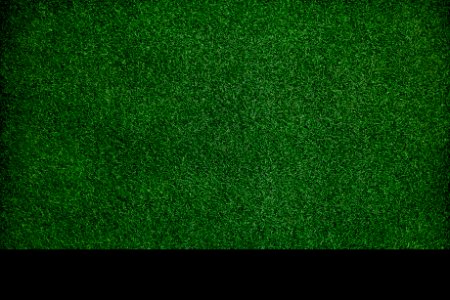 Texture Dark Green Grass Surface Closeup Wallpaper Concept photo