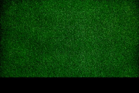 Texture Dark Green Grass Surface Closeup Wallpaper Concept