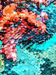 Multicolored Sequin Lot photo