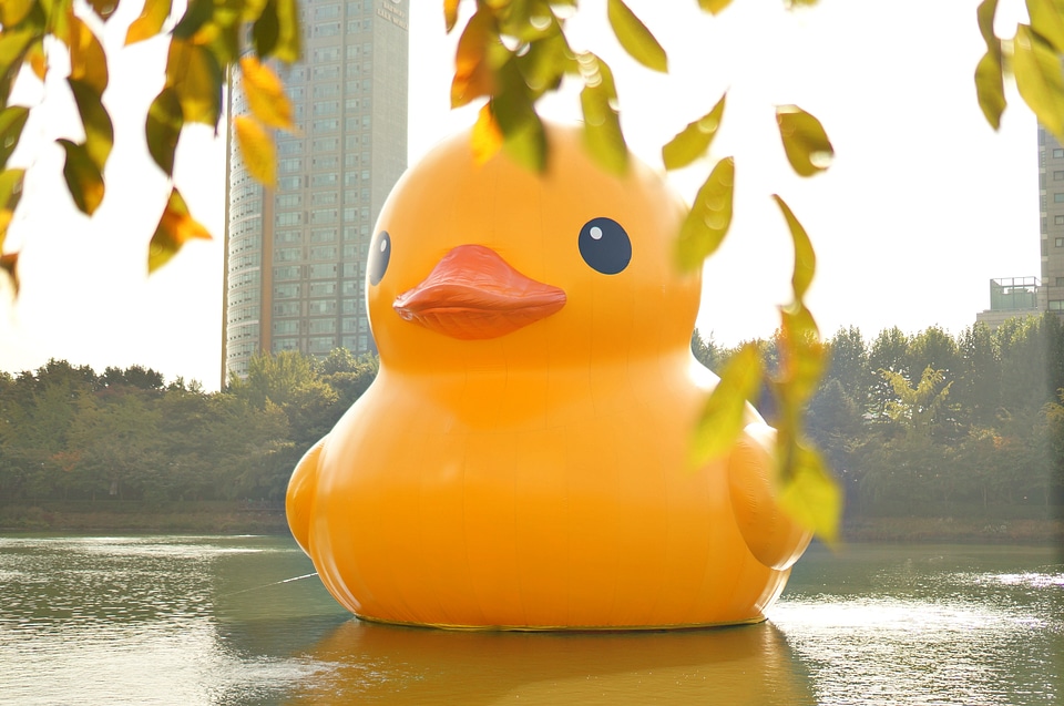 Rubber duck duck doll