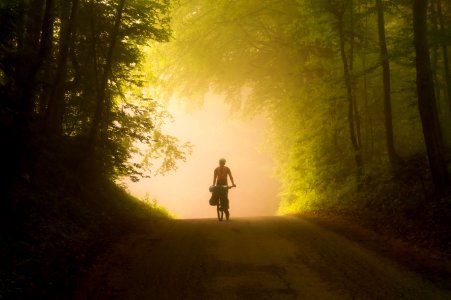 Person Riding Bicycle