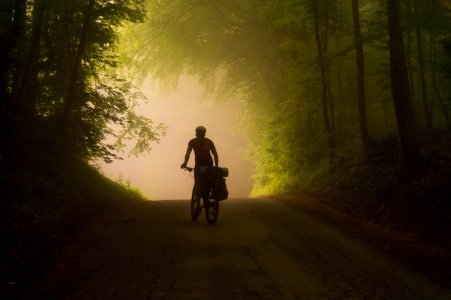 Person Riding On Bicycle Near Trees photo
