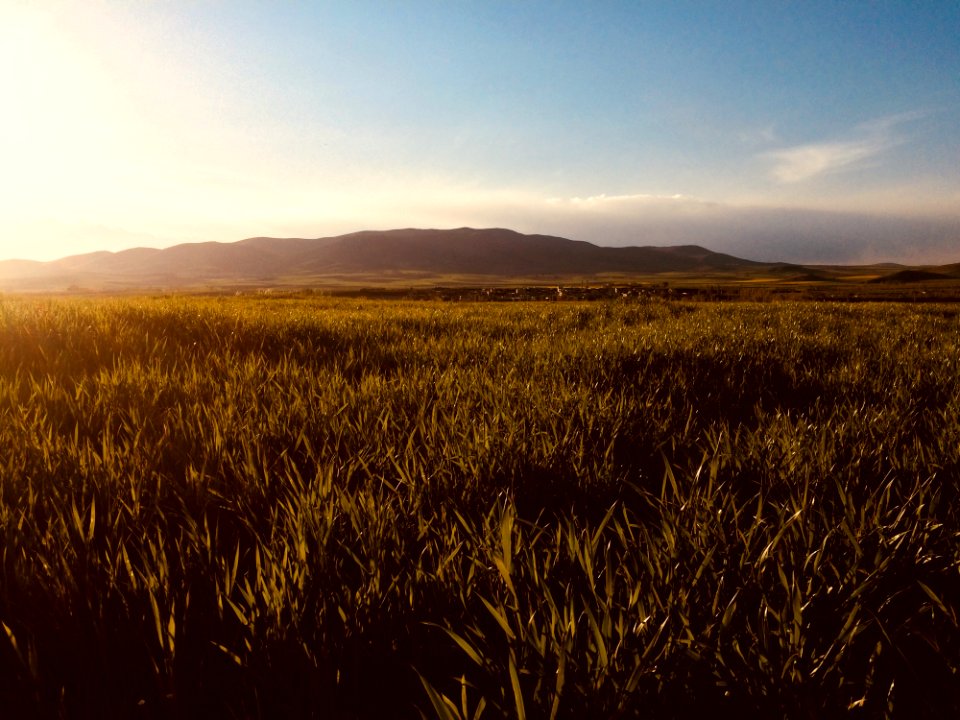 Vast Green Grass Fields With Silhouette Of Mountain At Distance