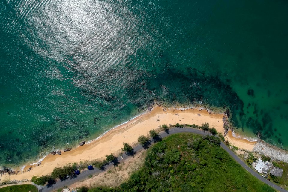 Aerial Photography Of Green Trees In Front Of Body Of Water photo