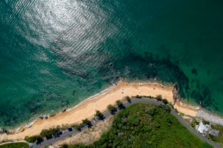 Aerial Photography Of Green Trees In Front Of Body Of Water photo