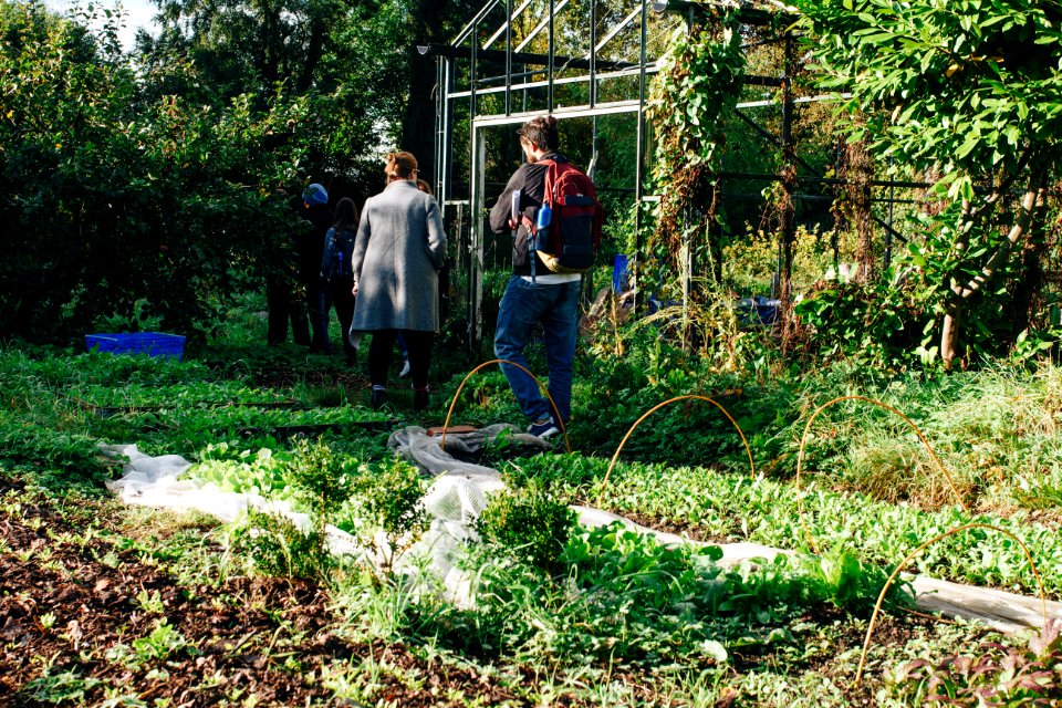 Person Standing Near Greenhouse
