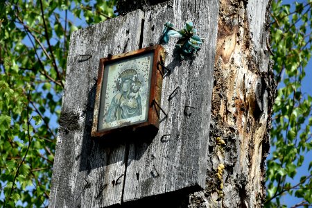 Tree Trunk Branch Birdhouse photo