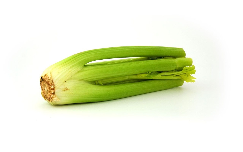 Veggie healthy food
